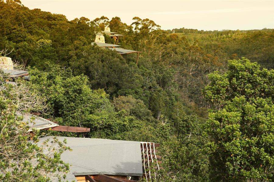 Tsala Treetop Lodge Aerial
