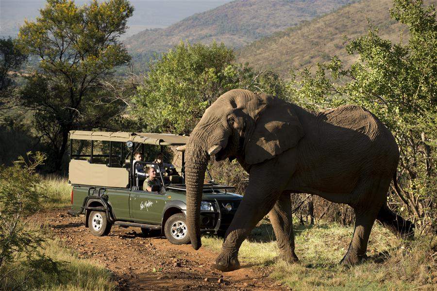 Kwa Maritane Bush Lodge Elephant Safari