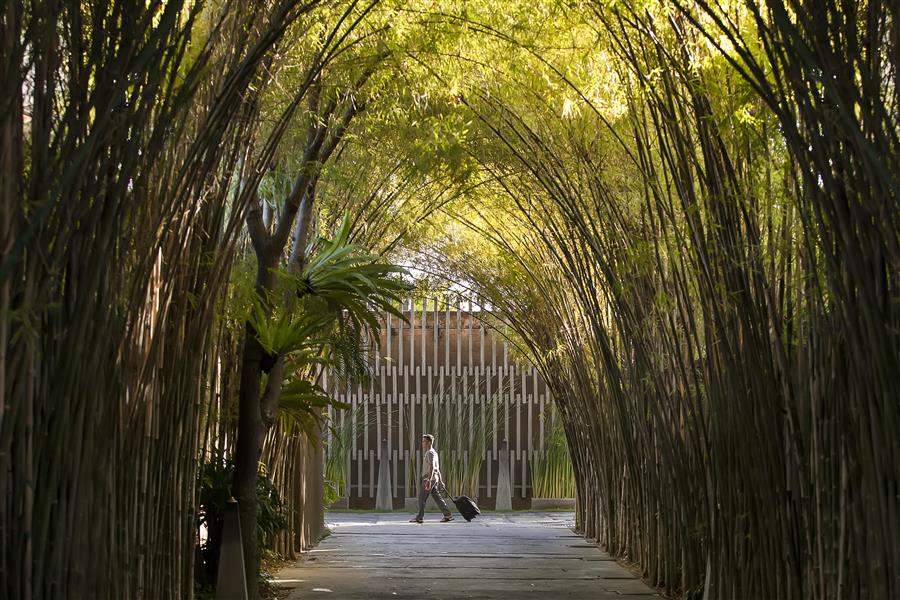 Entrance bamboo (1)