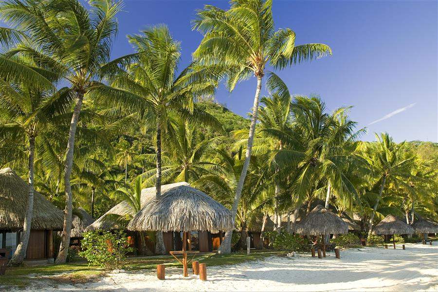 Hotel Sofitel Bora Bora Marara Beach Resort Cabins