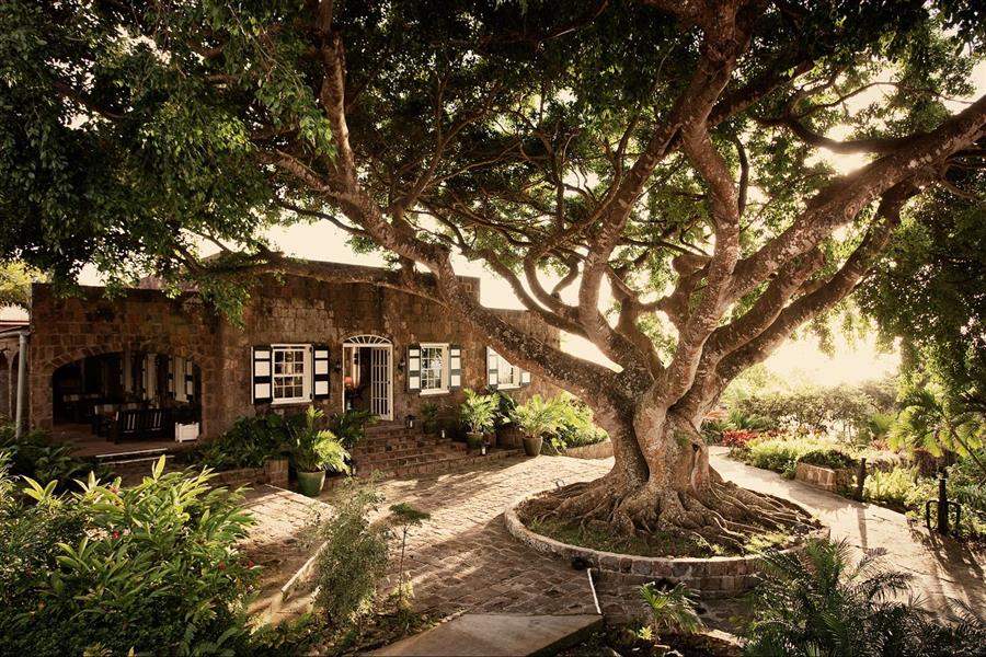 Montpelier Plantation Inn Saint Kittsand Nevis Exterior Shot