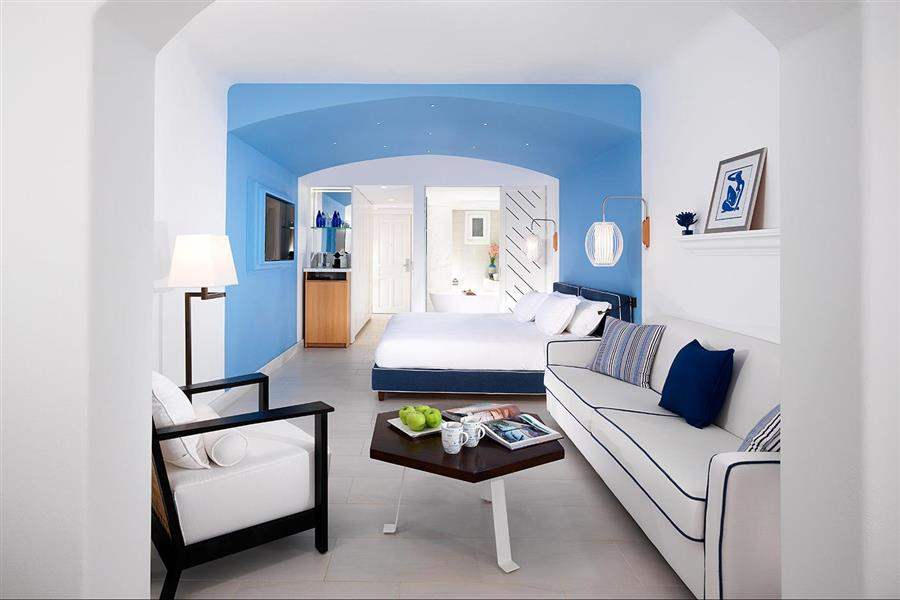 Blue and white garden view room