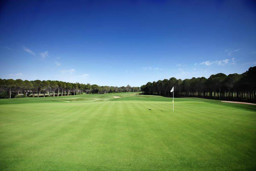 Montgomerie Golf Course