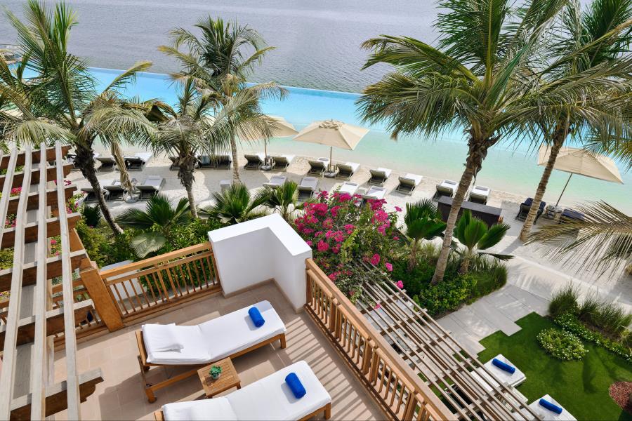 Loungers on decking overlooking pool and palms