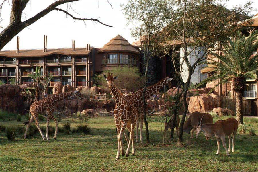 Disneys Animal Kingdom Lodge Hotel Outdoors