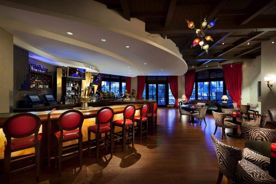 Hard Rock Hotelat Universal Orlando Bar Night